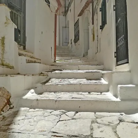 Casa Nettuno Sperlongaresort 公寓 *