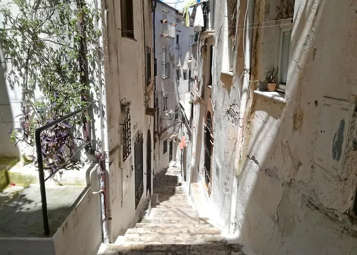 Casa Nettuno Sperlongaresort 公寓 斯佩隆加